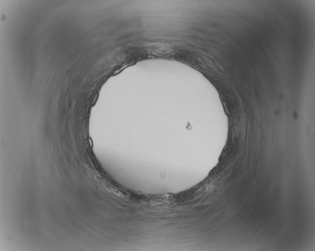 X0000053111345200508012114