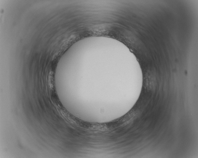 X0000053111346200508012114