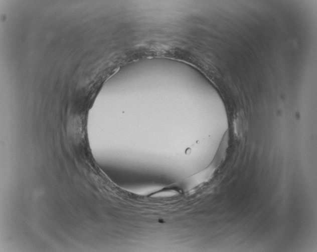 X0000053111347200508012114