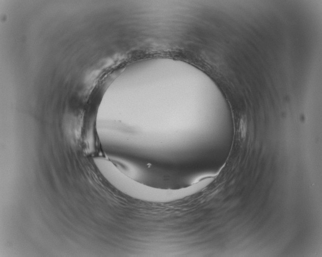 X0000053111348200508012114