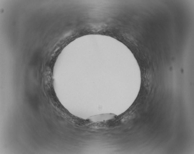 X0000053111349200508012114