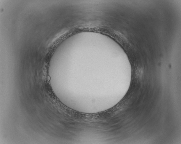 X0000053111350200508012114