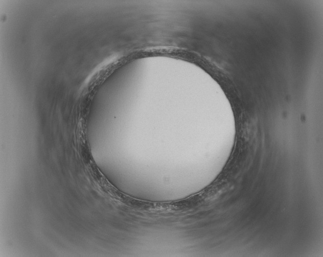 X0000053111351200508012114