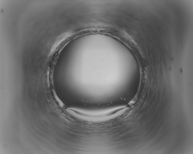 X0000053111352200508012114