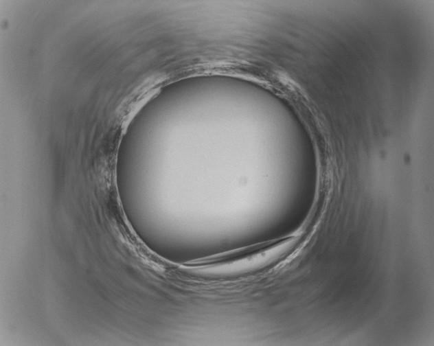 X0000053111353200508012114