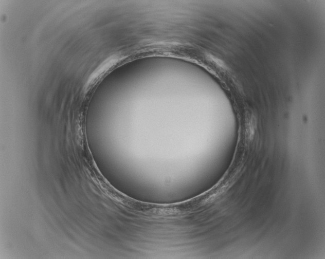 X0000053111354200508012114