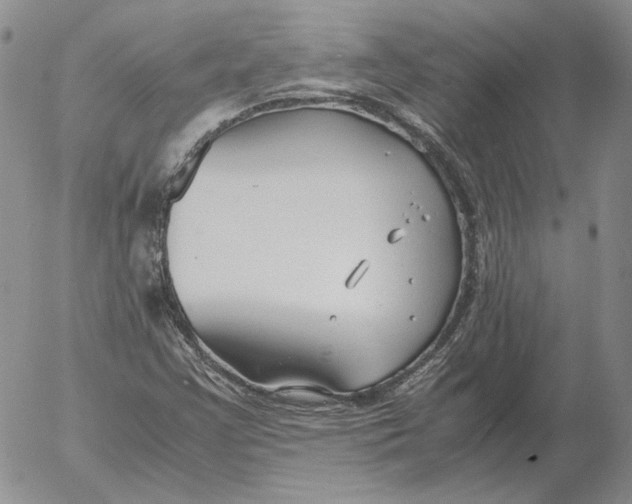 X0000053111355200508012114