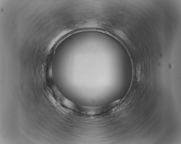 X0000053111356200508012114