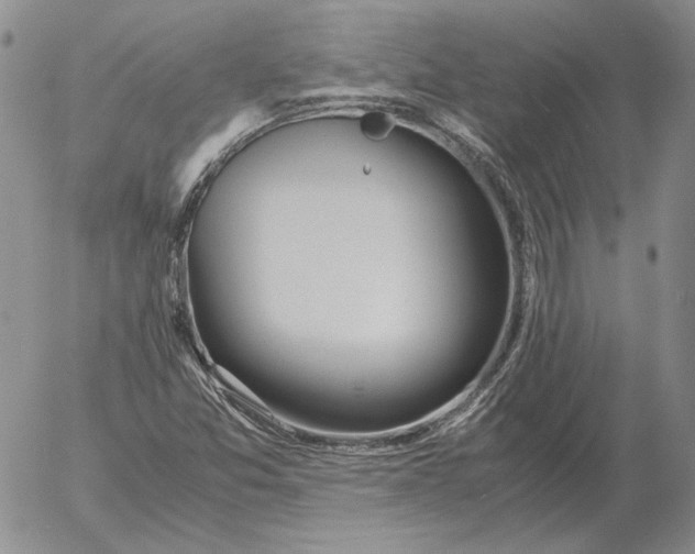 X0000053111357200508012114