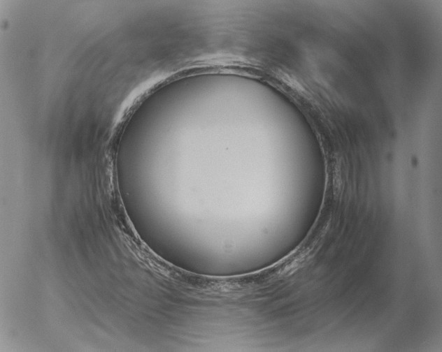 X0000053111358200508012114