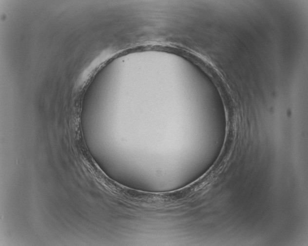 X0000053111359200508012114