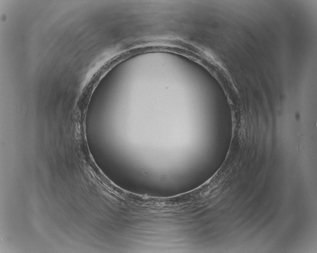 X0000053111360200508012114