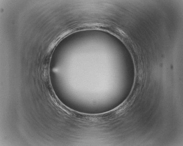 X0000053111361200508012114