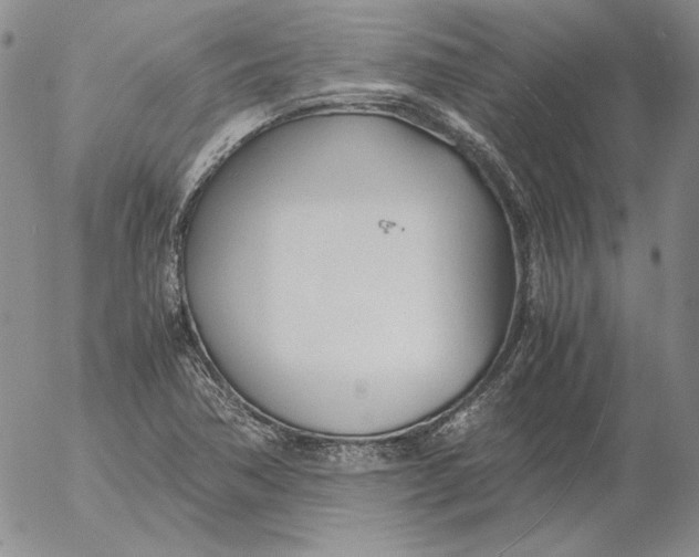 X0000053111362200508012114