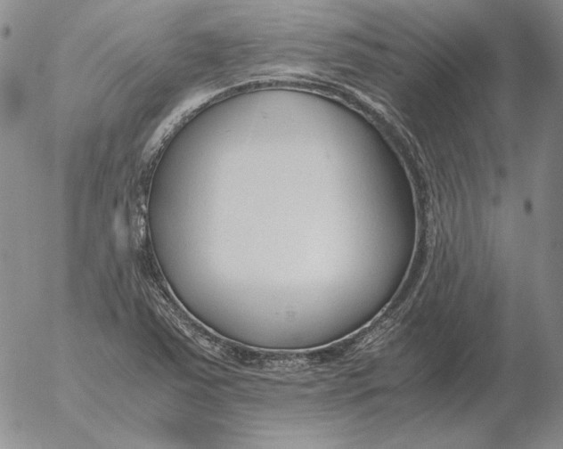 X0000053111363200508012114