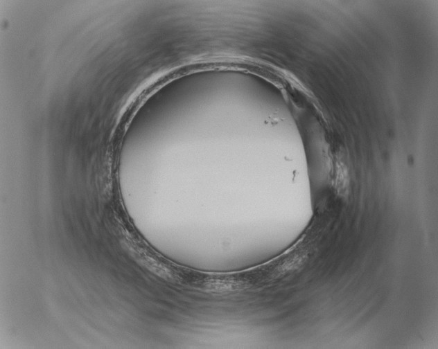 X0000053111364200508012114