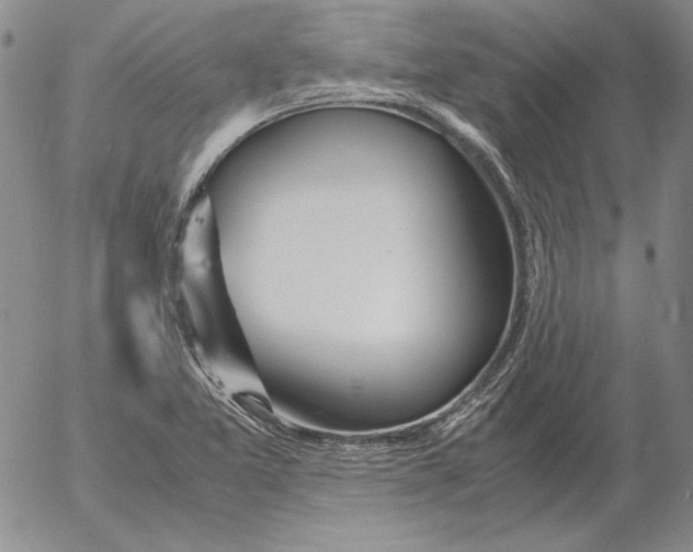 X0000053111365200508012113