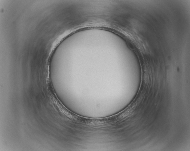 X0000053111366200508012113