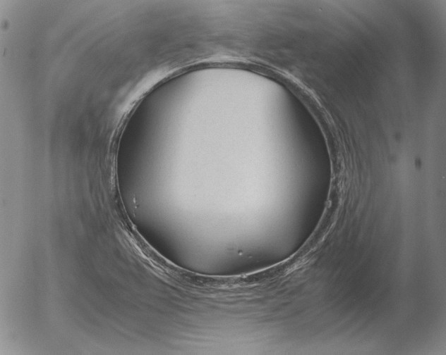 X0000053111367200508012113