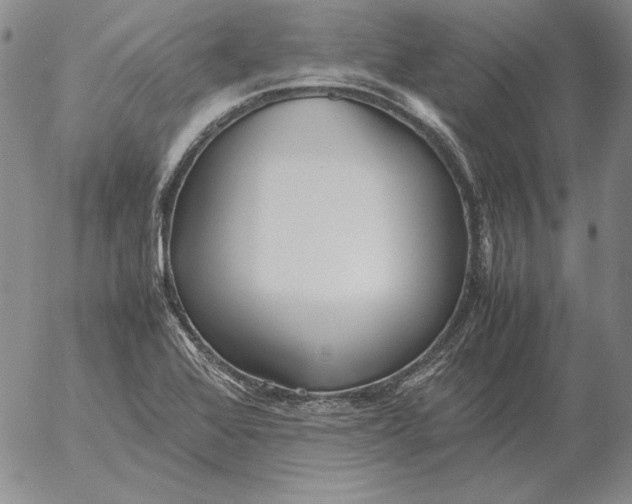 X0000053111368200508012113