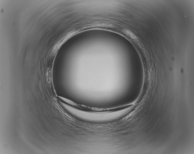 X0000053111369200508012113