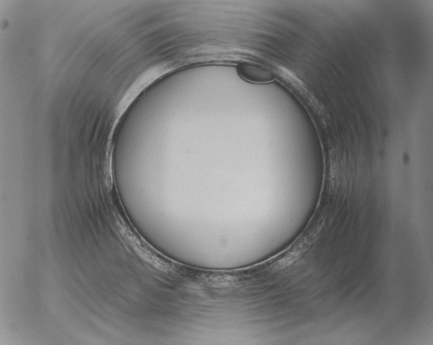 X0000053111370200508012113