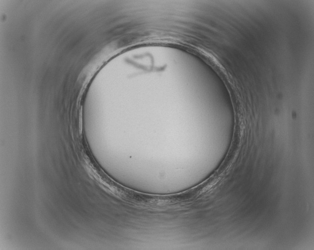 X0000053111371200508012113