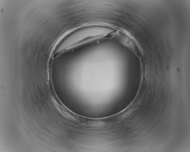 X0000053111372200508012113