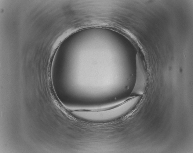 X0000053111373200508012113