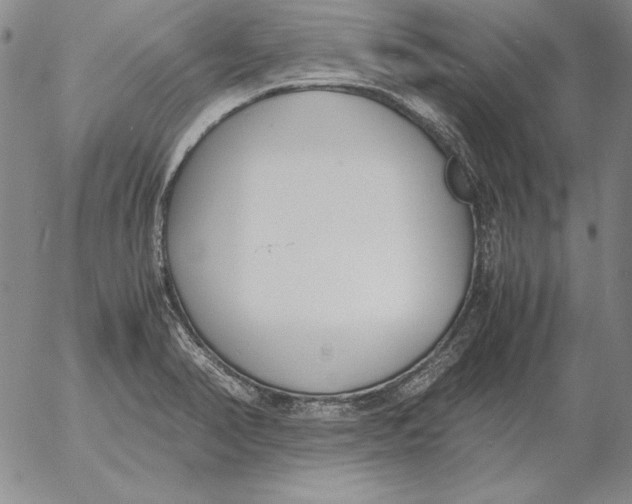 X0000053111374200508012113