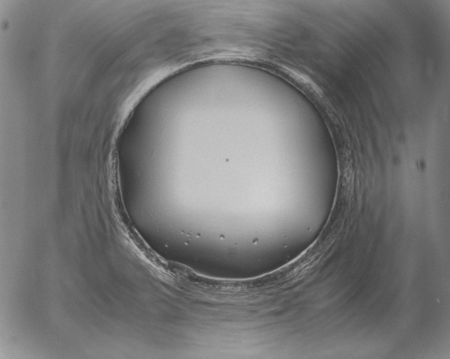 X0000053111375200508012113