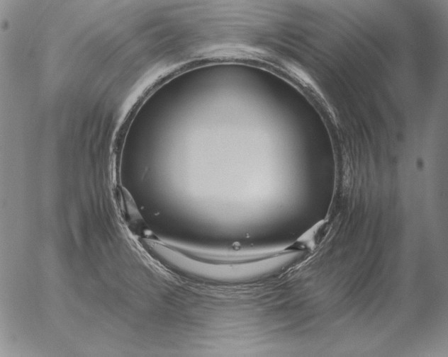 X0000053111376200508012113