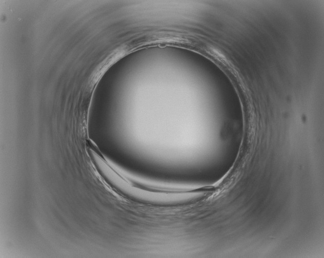 X0000053111377200508012113