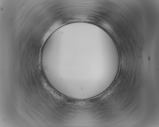 X0000053111378200508012113