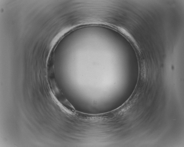 X0000053111380200508012113