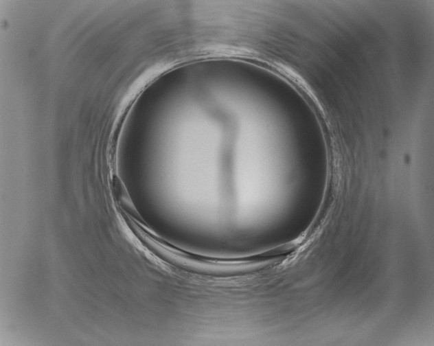 X0000053111381200508012113