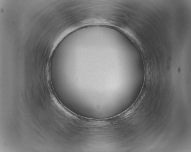 X0000053111382200508012113