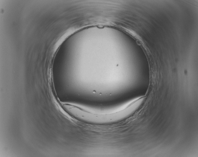 X0000053111383200508012113