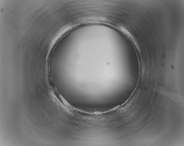 X0000053111384200508012113