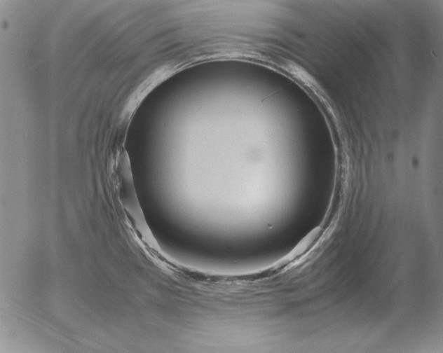 X0000053111385200508012113