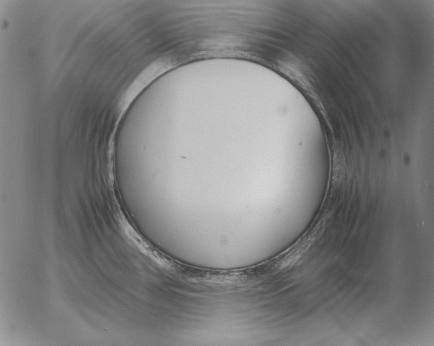 X0000053111386200508012113