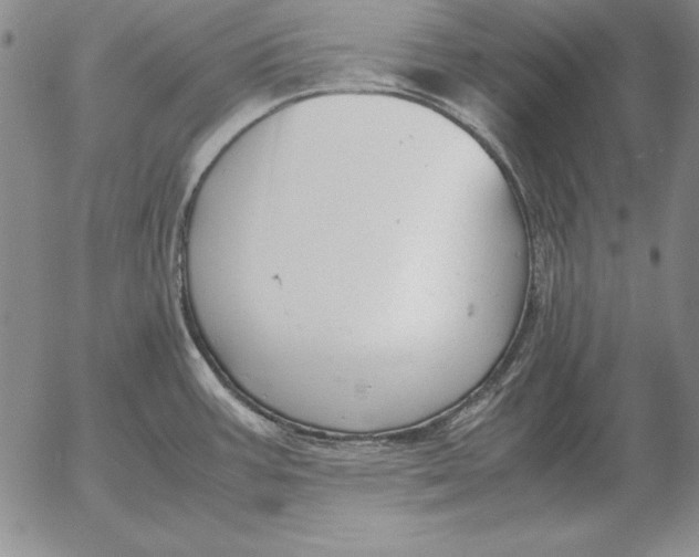 X0000053111387200508012113