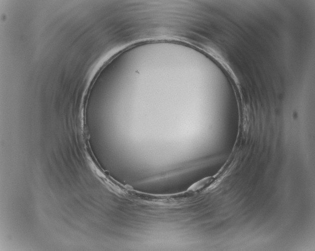 X0000053111388200508012113