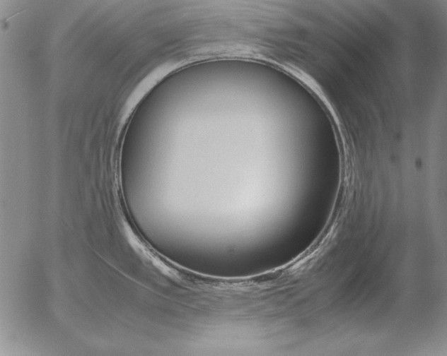 X0000053111389200508012113