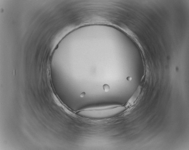 X0000053111390200508012113