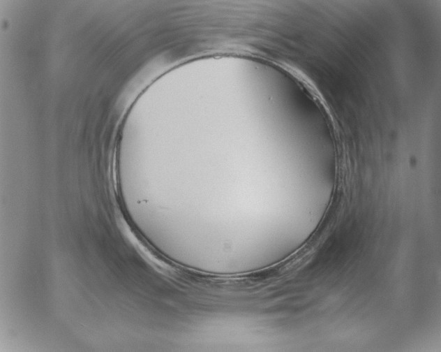 X0000053111391200508012113