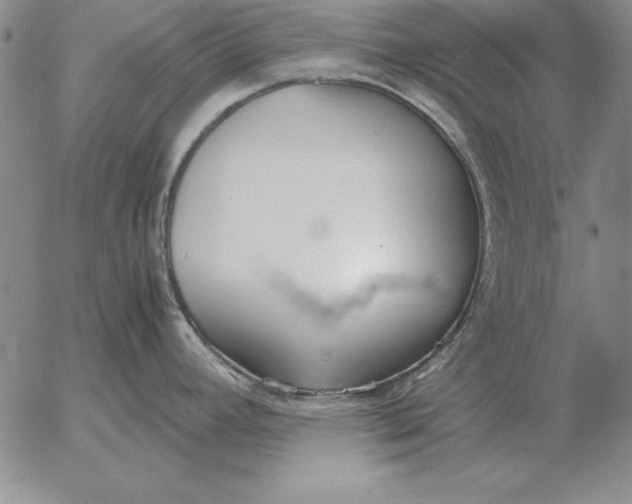 X0000053111392200508012113