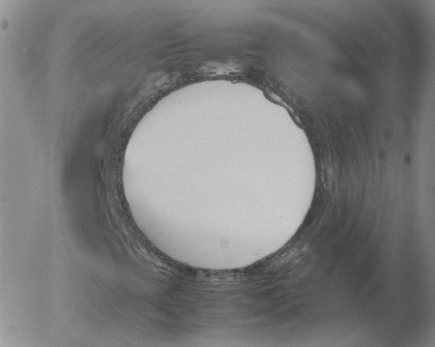 X0000053111393200508012112