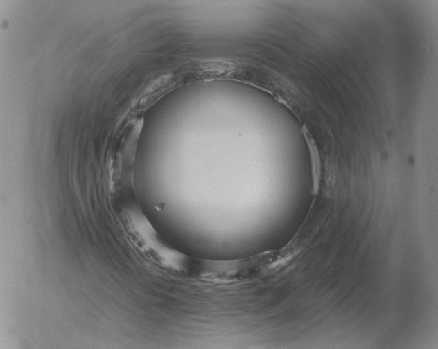 X0000053111394200508012112