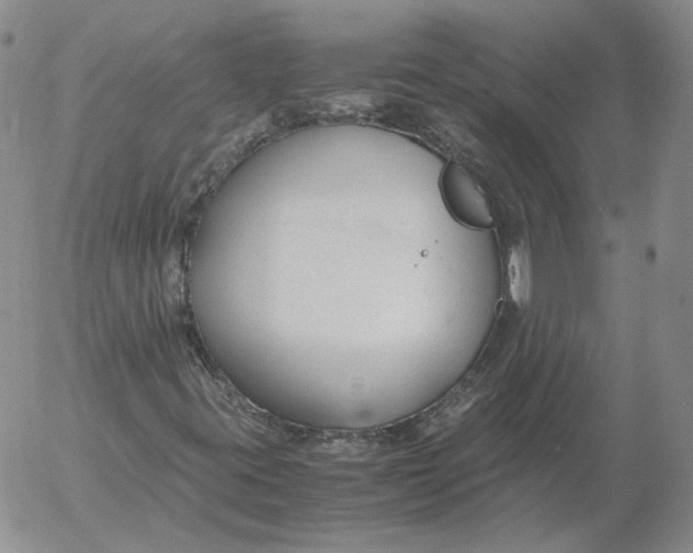 X0000053111395200508012112